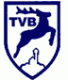 TA TV Bissingen/Teck